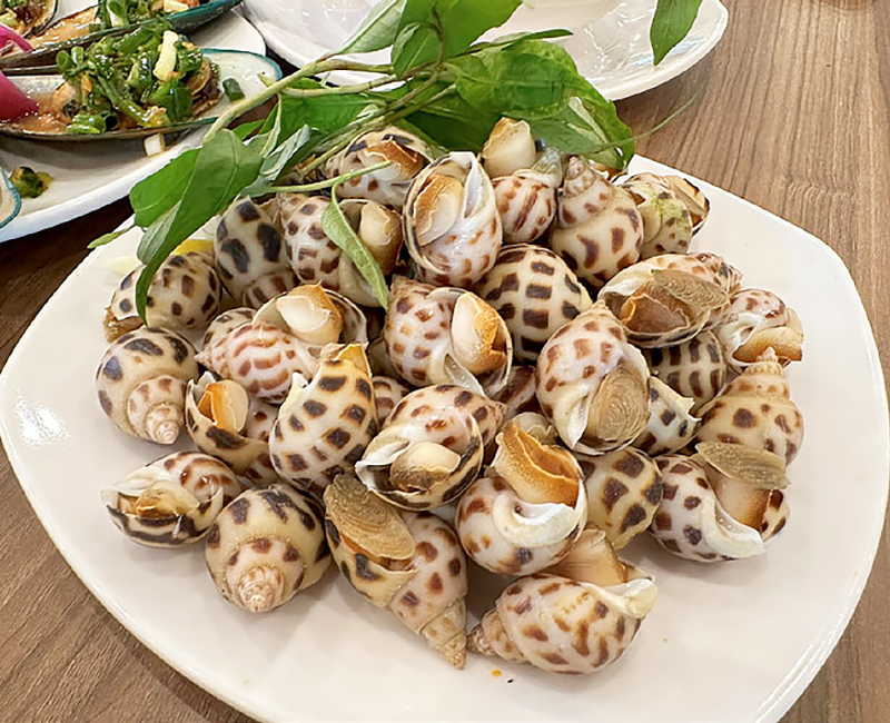 Ốc Hương mix Ốc len