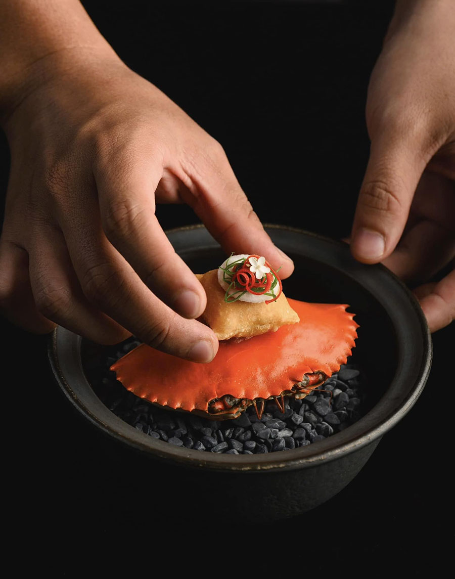 GIĂNG LƯỚI - CASTING NET